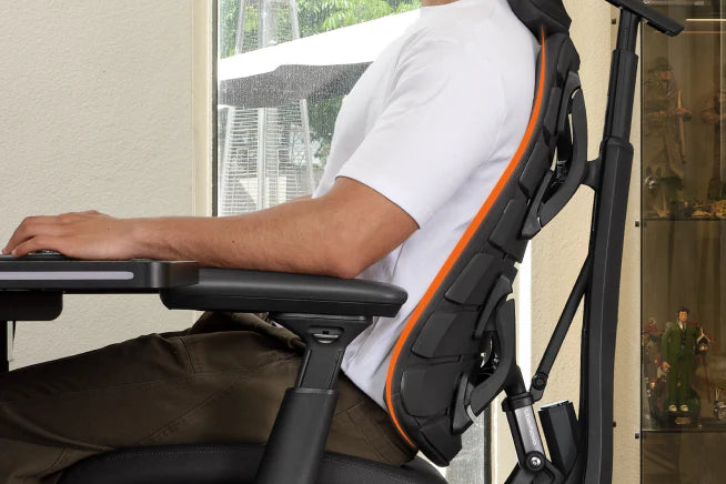 משענת גב Bionic FlexFit