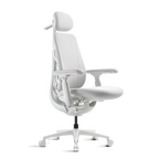 Basic Bundle Maxis Electric Glacier 52cm Chair2
