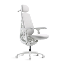 Basic Bundle Maxis Electric Glacier 52cm Chair2