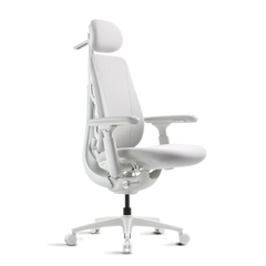 Basic Bundle Maxis Electric Glacier 52cm Chair2