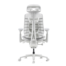Basic Bundle Maxis Electric Glacier 52cm Chair3