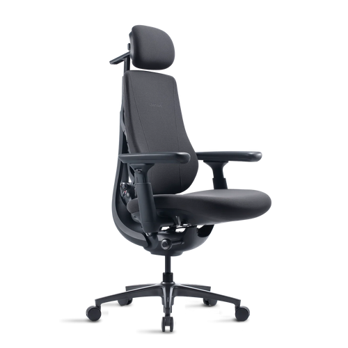 Basic Bundle Maxis Manual Graphite 52cm Chair2