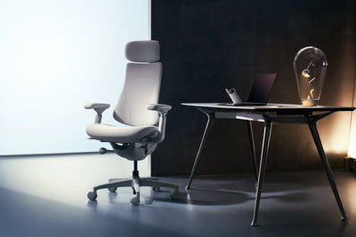 Basic Bundle Libernovo Omni Space Grey 48cm Chair4