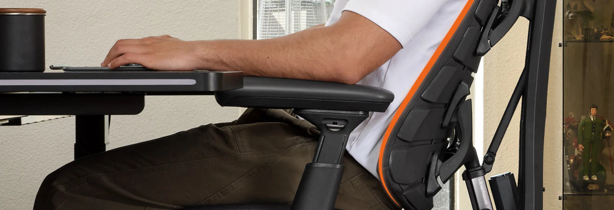 משענת גב Bionic FlexFit