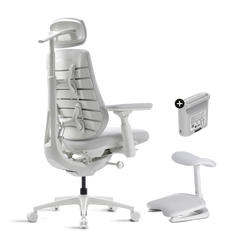 Pro Bundle Maxis Airflow glacier 52cm Chair2
