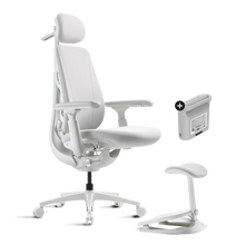 Pro Bundle Maxis Electric glacier 52cm Chair1