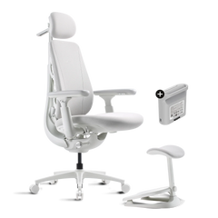 Pro Bundle Maxis Electric glacier 52cm Chair1