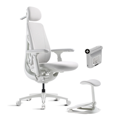 Pro Bundle Maxis Electric glacier 52cm Chair1