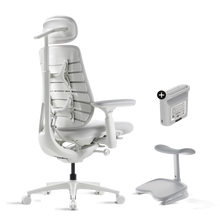 Pro Bundle Maxis Electric glacier 52cm Chair2