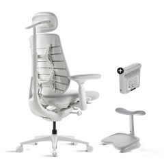 Pro Bundle Maxis Electric glacier 52cm Chair2