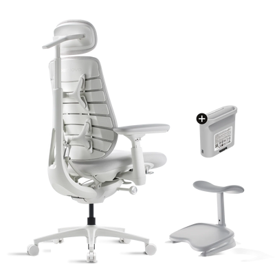 Pro Bundle Maxis Electric glacier 52cm Chair2