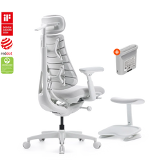 Pro Bundle Omni Gen Glacier 48cm Chair2