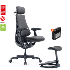 Pro Bundle Omni Gen Graphite 48cm Chair1