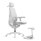 Standard Bundle Maxis Electric Glacier 52cm Chair1