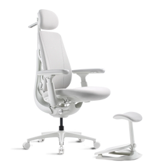Standard Bundle Maxis Electric Glacier 52cm Chair1