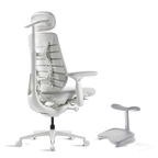Standard Bundle Maxis Electric Glacier 52cm Chair2