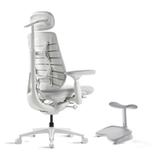 Standard Bundle Maxis Electric Glacier 52cm Chair2