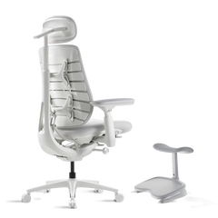 Standard Bundle Maxis Electric Glacier 52cm Chair2