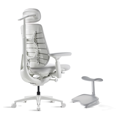 Standard Bundle Maxis Electric Glacier 52cm Chair2