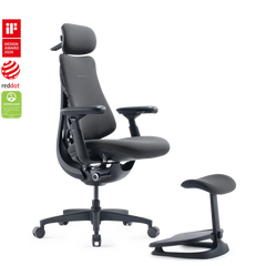Standard Bundle Omni Gen Graphite 48cm Chair1