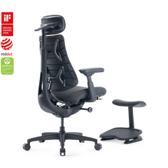 Standard Bundle Omni Gen Graphite 48cm Chair2