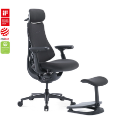Standard Bundle Omni Pro Graphite 45cm Chair1
