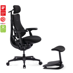 Standard Bundle Omni SE Obsidian 48cm Chair2