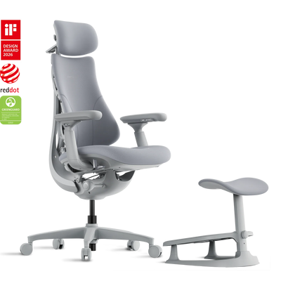 Standard Bundle Libernovo Omni Space Grey 48cm Chair1