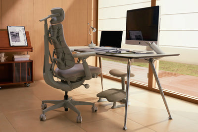 Standard Bundle Libernovo Omni Space Grey 48cm Chair4