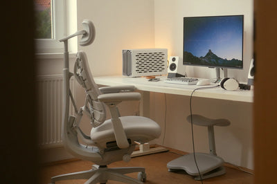 Standard Bundle Libernovo Omni Space Grey 48cm Chair5