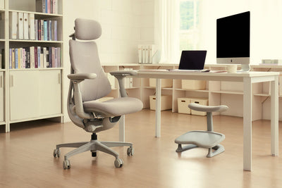 Standard Bundle Libernovo Omni Space Grey 48cm Chair6
